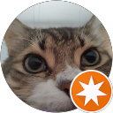 Nito Sánchez profile picture