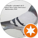 PEDRO GARCIA profile picture